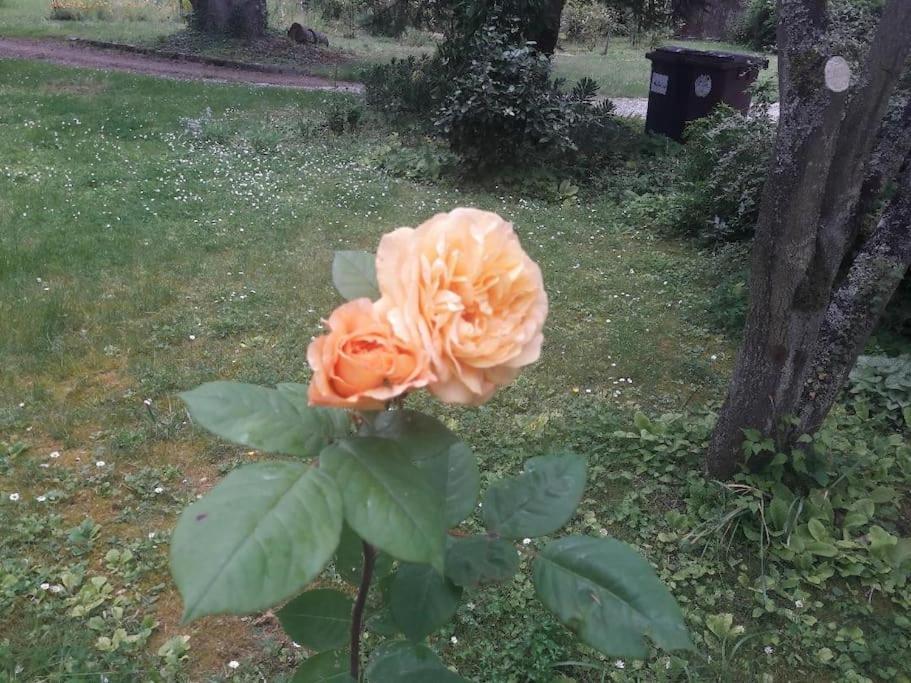 Appartamento La Parenthese Campagnarde Richarville Esterno foto
